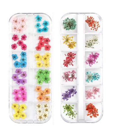 LPOne 2 Boxes 3D Nail Mini Dried Flowers Sticker Nail Art Resin Craft DIY Real Natural Dried Flowers  Five Petal Flower Leaf Gypsophila Dry Flower Nail Art Decoration Kits.  box 5.12 x 1.97 inches