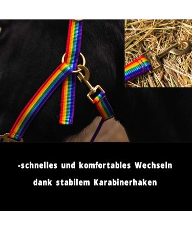Premium Horse Halter for Warmblood Thoroughbred & Cold Blood - Adjustable Safe & Tearproof - Ideal for Stables & Pastures (Rainbow Shetty) - Buy Online on GoSupps.com