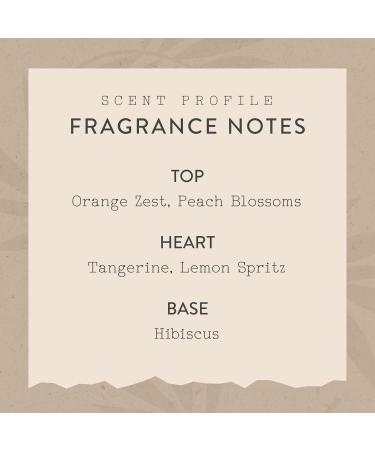 Good Morning! Fragrance Mist by Scent Beauty - Beautiful and Light Spray Fragrance from Nature - Vegan and Non-Toxic Mist Featuring Notes of Orange Zest and Peach Blossoms - 2.0 Oz / 60ml Good Morning! 2 Fl Oz (Pack of 1) - Buy Online on GoSupps.com