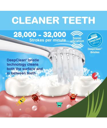 Brush-Baby WildOnes Tiger Kids Electric Toothbrush - 1 Handle, 3 Brush Heads, USB Charging Cable - Ages 0-10 - Buy Online on GoSupps.com