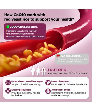 HOLLEGEND Citrus Bergamot Liquid Drops + Red Yeast Rice Gummies - Buy Online on GoSupps.com