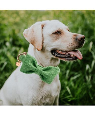Dogwong Green Dog Leash - Comfortable Adjustable Pet Line for Small & Medium Dogs (Pack of 1) Ideal for Boys & Girls - Buy Online on GoSupps.com