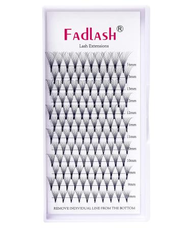 FADLASH 10D Premade Volume Eyelash Extensions - Flawless, Full & Long-Lasting Lashes - Buy Online on GoSupps.com