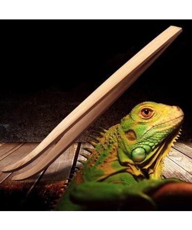 GUOJFEN Angled Reptile Feeding Tongs Tweezers 28cm Bamboo Eco-Friendly Feeding Tool New - Buy Online on GoSupps.com
