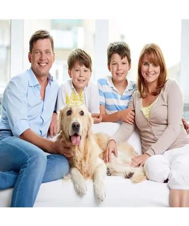 4 Pieces Crown Cake Topper Mini Tiara Birthday Cake Topper Gold Crystal Pearl Wedding Cake Crown Topper for Birthday Party Wedding Cake Decoration - Buy Online on GoSupps.com