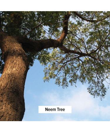 Organic Neem Powder - Ayurvedic Herb for Skin & Blood Health | 1 lb | Non-GMO Vegan - Buy Online on GoSupps.com