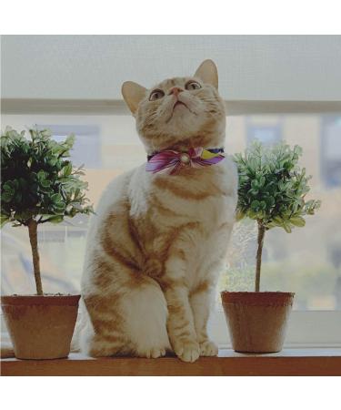Elegant Pink Ascot Cat Collar - Stylish and Comfortable - Buy Online on GoSupps.com