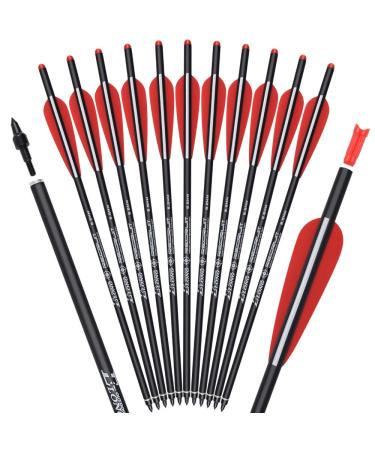 Carbon Crossbow Bolts 16 18 20 Inch Hunting Archery Arrows with 4" Vanes Replaced Arrowhead Tip (Pack of 12)
