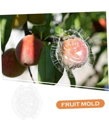 GANAZONO Shaped Growth Mold Fruit Vegetable Growing Mold Small Shaper Molds Shaping to Play with Maitreya - Buy Online on GoSupps.com