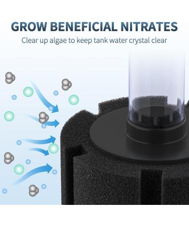 Pawfly Organic Sponge Filter - Quiet Foam Filter for Small Aquariums Betta Shrimp & Fish (Up to 80L) | Perfect for 40-80L Ponds - Buy Online on GoSupps.com