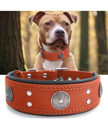 Dog collar leather 5 cm wide robust real leather neck band handmade soft and luxurious striking best choice for large and medium-sized dog breeds orange 57-67.5 cm 57-67.5 cm orange