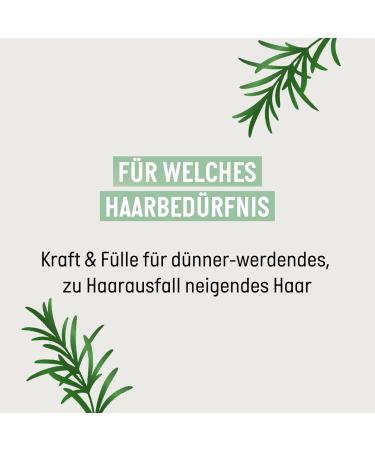  Guhl Guhl Strength & Pleine Shampoo - Significantly strengthened hair from the roots - Capacity: 250 ml - With active complex with rosemary and biotin - Buy Online on GoSupps.com