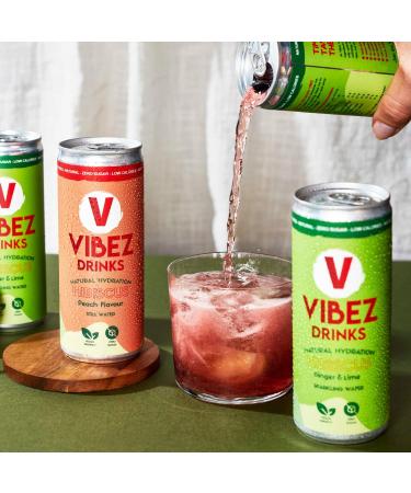 Vibez Drinks Eau plate aromatis e naturelle | P che et hibiscus | Z ro sucre et faible teneur en calories | Sans c to v g talien et sans gluten | 24 bo tes de 250 ml 24 pack: - Buy Online on GoSupps.com