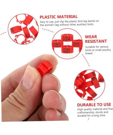BESPORTBLE 300 Pcs Pigeon Anklet Chicken Stuff African Grey Parrot Leg Ring Poultry Leg Ring Travel Bag Birds 1.3X1.3CMx3pcs Redx3pcs - Buy Online on GoSupps.com