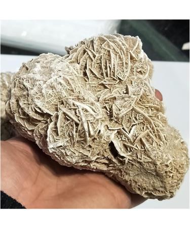 300-600g Natural Desert Rose Stones SeleniteReiki ra Crystal Specimen Rough Sample Cluster fengshui Home Decor ZJGIDTEM (Color : About 300g) - Buy Online on GoSupps.com