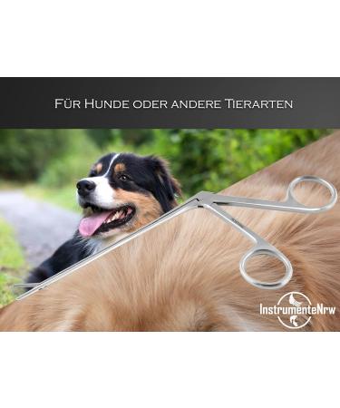Dog Foreign Body Forceps - 12 cm Ear Cleaners for Pets & Animals | Shop Now! - Buy Online on GoSupps.com
