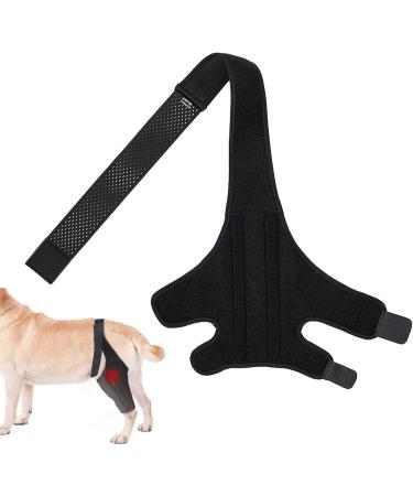 Dog Leg Immobilizer | Dog Hip Joint Care Support Brace Leg Braces for Dogs Leg Braces for Support Pet Knee Brace Canine Leg Brace Pet Leg Brace - Buy Online on GoSupps.com