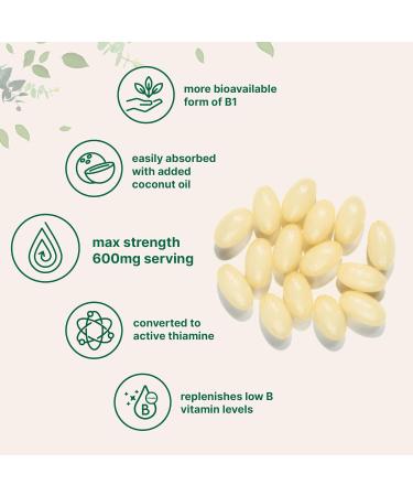 Micro Ingredients Vitamin B1 Benfotiamine 600mg Per Serving, 240 Coconut Oil Softgels | Bioavailable B Vitamins Supplement, Converted to Active Thiamine | Non-GMO, Soy Free 240 Count (Pack of 1) - Buy Online on GoSupps.com