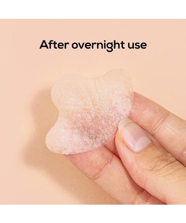 Hanhoo T-Zone Pore Patch Set | Hydrocolloid Nose & Forehead Patches for Blackheads | Vegan & Cruelty-Free | 8 Count - Buy Online on GoSupps.com