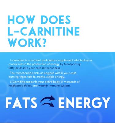 Buy Tasty Pre-Workout Gummies Boost Energy & Mental Focus | High in L-Carnitine for Faster Recovery International Shipping Available - Buy Online on GoSupps.com