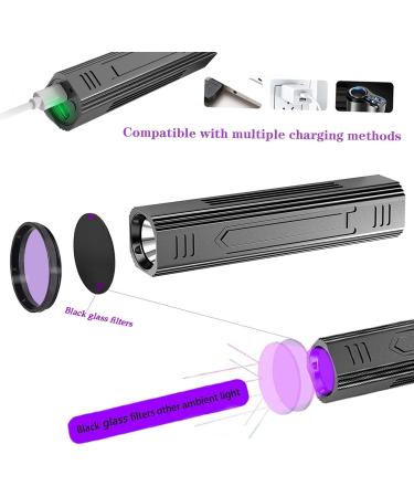 Portable Woods UV Lamp - 365 Nm Black Light Flashlight for Pet Urine Detection & Bed Bug Inspection - Buy Online on GoSupps.com