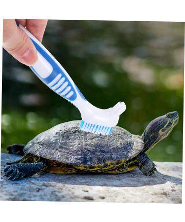 Turtle Shell Cleaning Brush Reptile Cleaning Brush Denture Brush for Shell Grip Cleaning Brush Double-side Tortoise Food Bristle Brush Household Plastic - Buy Online on GoSupps.com