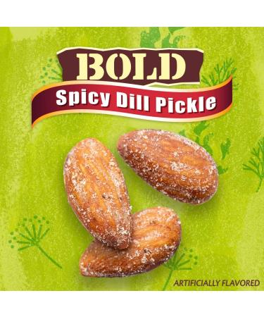Blue Diamond Spicy Dill Pickle 16oz Bag - Delicious Crunchy Snack - Buy Online on GoSupps.com
