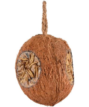 Flamingo Coconut with 3 holes of flour - wild bird food