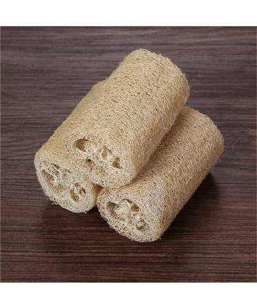 Durability Popular Body Sponge Bath Cleaning and Cleaning Work Set of 3 Stylish Nice and Deft - Buy Online on GoSupps.com