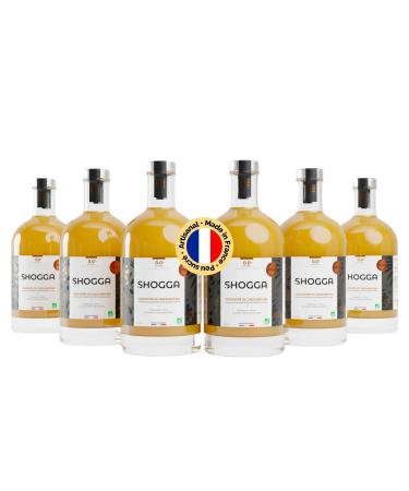 SHOGGA | Organic Ginger Juice | Made in France | Premium Alcohol Free Drink | 12 Superfoods: Fresh Cold Pressed Ginger, Lemon, Turmeric, Kampot Pepper, Herbs & Spices (6 x 500ml)