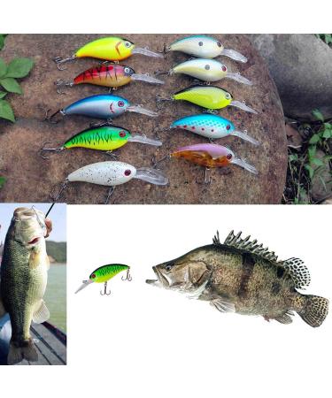 ZWMING Bass Crankbait Fishing Lures Set - 14pcs 3D Eyes Swimbait for Freshwater & Saltwater Fishing - Buy Online on GoSupps.com