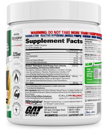 GAT NITRAFLEX Burn Pre Workout - Apple Melon Flavor - 30 Servings | Boost Energy & Burn Fat - Buy Online on GoSupps.com
