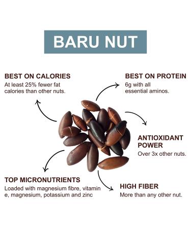 Naturtonix Baru Nut Butter - Peanut Free, Vegan & Kosher Certified, Creamy & Thick with Only 3 Ingredients, Gluten Free with 7g Protein - 11 Ounces - Buy Online on GoSupps.com