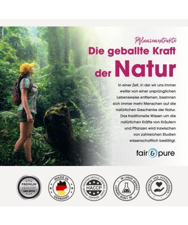 Buy Fair & Pure Bitter Melon Extract 500mg with Chromium - Vegan - 90 Capsules | International Shipping Available - Buy Online on GoSupps.com