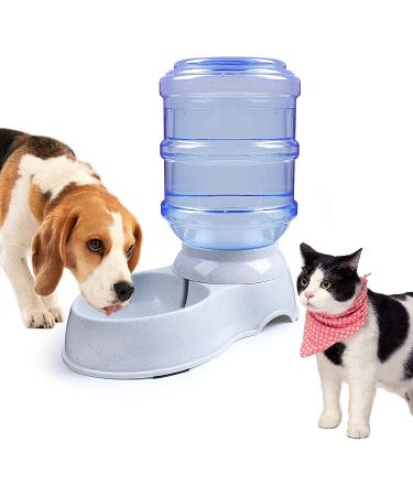1 Gal Pet Water Dispenser Station - Automatic Gravity Waterer for Dogs, Cats, and Small Animals - Buy Online on GoSupps.com