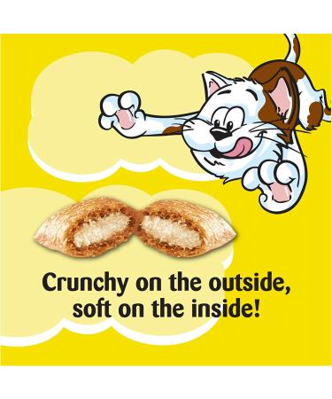 Temptations Cat Treats 1ct - Catnip Fever | Irresistible Cat Snack - Buy Online on GoSupps.com
