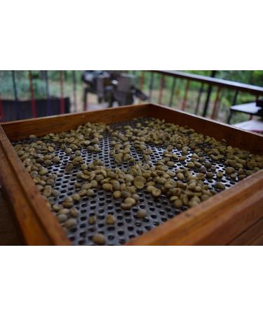 Ecuadorian Gourmet Coffee Whole Beans Medium Roast Fresh Coffee Beans 200 Grams/3.5 Ounces (Pack of 1) | Ecuadorian Coffee 100% Gourmet Coffee PIUAROMA - Buy Online on GoSupps.com