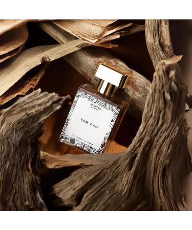DJ Perfume Tam Dao Perfume for Men Long Lasting Fragrance with Woody Amberwood Lime Aromatic and Sandalwood Notes Extrait De Perfume. - Buy Online on GoSupps.com