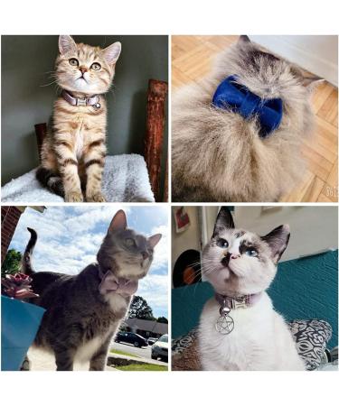 Personalized Cat Collar with Engraved Name & Phone Number for Small Pets | Brown | Bell Included - Buy Online on GoSupps.com