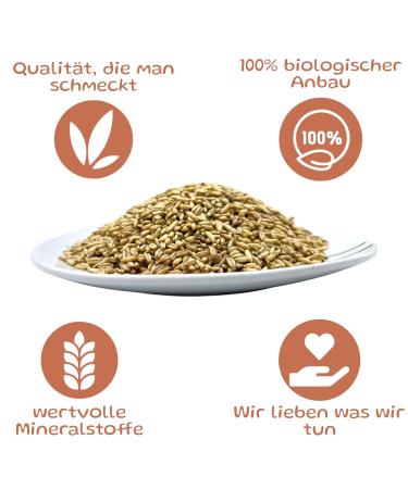 Organic Naked Oats 2kg - Sustainably Sourced | Conscious Nutrition for Healthy Living - Buy Online on GoSupps.com
