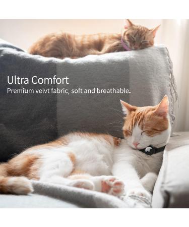 Reflective Airtag Cat Neck Band | Leather GPS Tracker with Apple Airtag Holder & Bell | Pink | Fits Young Cats 9-13 Inch (23-33cm) - Fast International Shipping - Buy Online on GoSupps.com