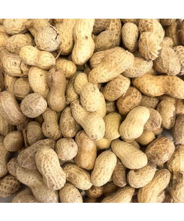 *Special* Peanuts in Shells 200g Premium Safe Wild Bird Food Monkey Nuts Afflotoxin Free Peanut 200 g (Pack of 1) - Buy Online on GoSupps.com