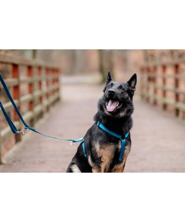 Chaba Guard Dog Harness for Large Dogs | Anti-Choke & Control - Adjustable Step-In Lightweight Harness for Running - XL Size - Buy Online on GoSupps.com