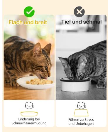 Dorakitten 2Pcs Ceramic Raised Cat Bowl Set | Anti-Vomiting & Non-Slip Cat Feeding Dish | Elevated Pet Bowl for Spine Health | Comfortable & Dishwasher Safe - Buy Online on GoSupps.com