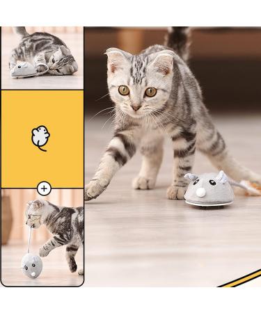 Interactive Cat Toy Lifelike Automatic Moving Mouse Cat Toy with Furry Tail USB Rechargeable Electronic Cat Mouse Toy Kitten Toys Moving Mouse Catch Toy for Indoor Cats - Buy Online on GoSupps.com