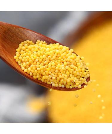 Millet Yellow millet17.6oz Hulled Gluten Free Raw Sun-Dried Millet Whole Grain  - Buy Online on GoSupps.com