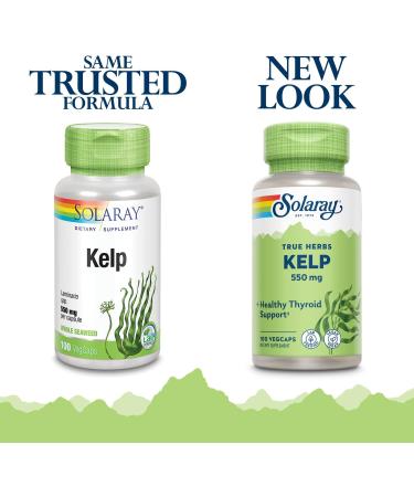 Solaray Kelp 550mg with Folic Acid | Thyroid Support & Energy | Non-GMO | 100 VegCaps - Buy Online on GoSupps.com