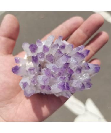 Natural Crystal Rough for Natural Purple Ghost Phantom Quartz Crystal Cluster Rock Stones and Crystals Home Deco (Size : 150-200g) - Buy Online on GoSupps.com