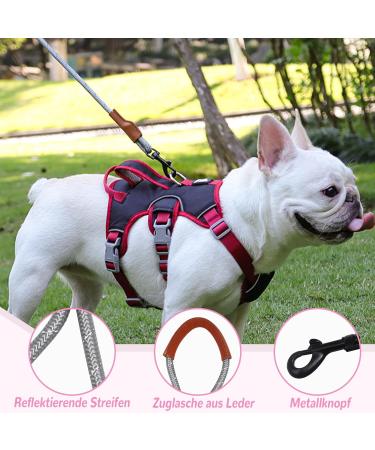 Multi-Purpose Dog Harness & Leash Set - Outbreak-Proof Anti-Train Safety Harness for Small & Medium Dogs (Pink M) - Buy Online on GoSupps.com