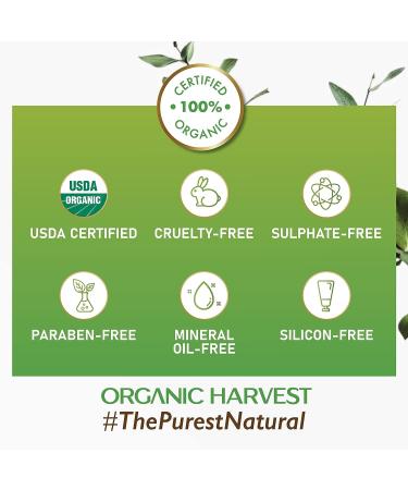 SPF Lip Balm with Lemon Oil | Paraben & Sulphate-Free | Unisex Protection | 10g Skin Care - Buy Online on GoSupps.com